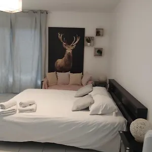 chaleureux-studio.midi-pyreneeshotels.com/